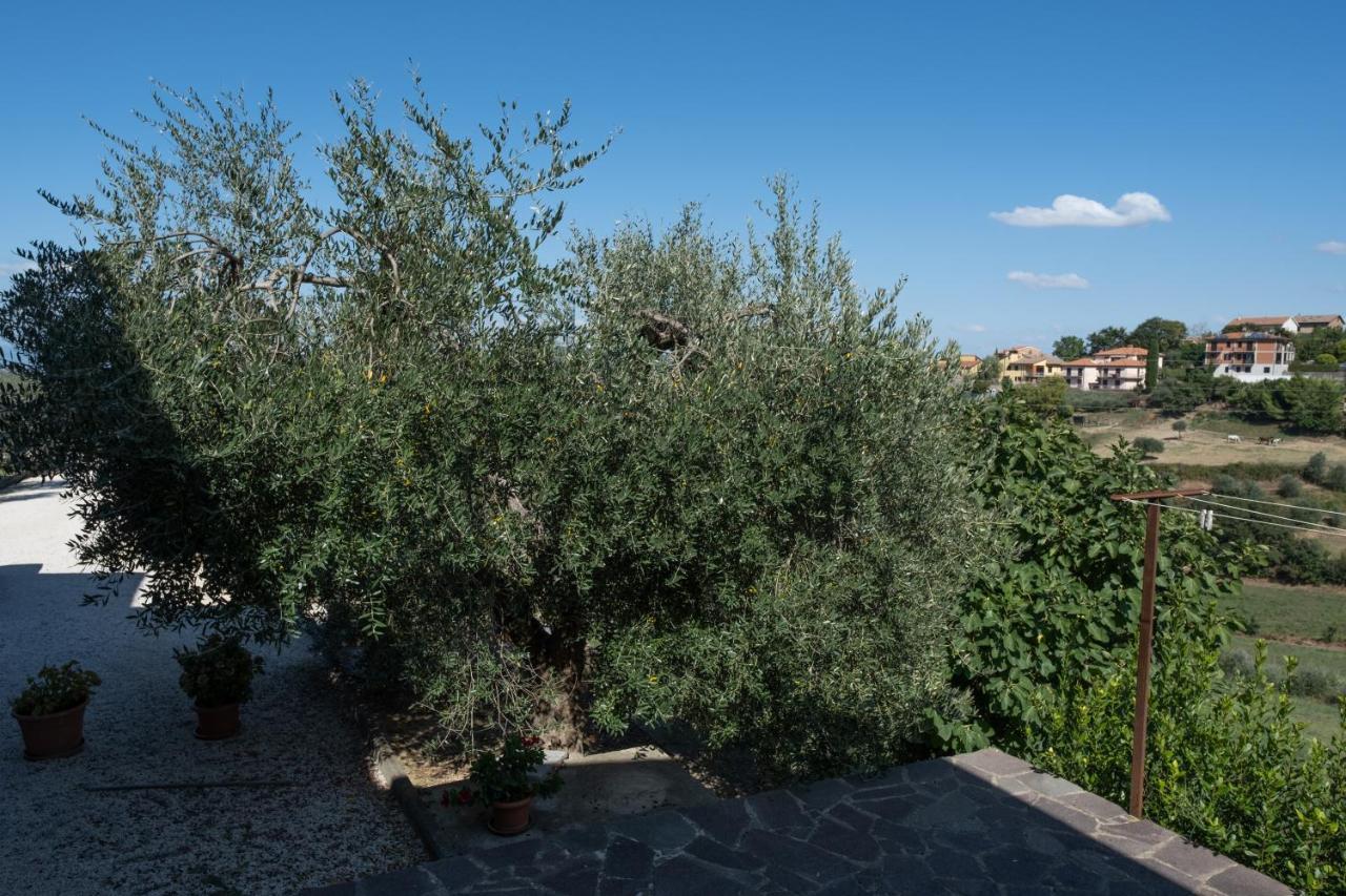 Ferienwohnung La Casa Di Sara Città della Pieve Exterior foto